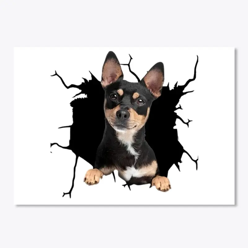 CHIHUAHUA FANNY CAR STICKER 