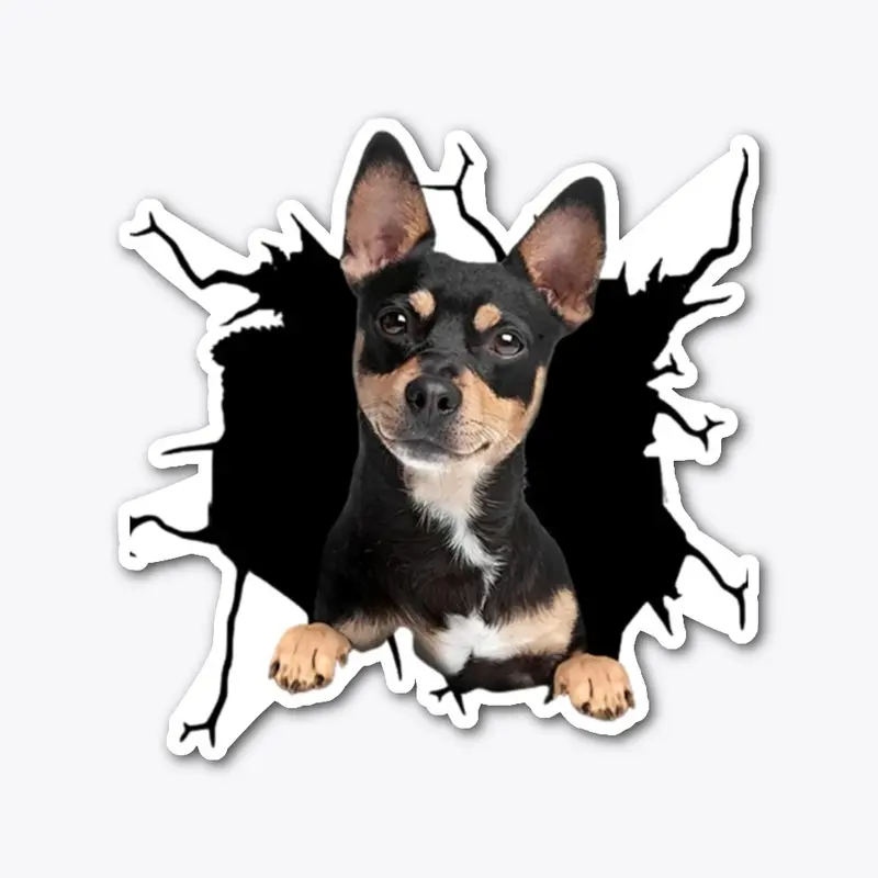 CHIHUAHUA FANNY CAR STICKER 